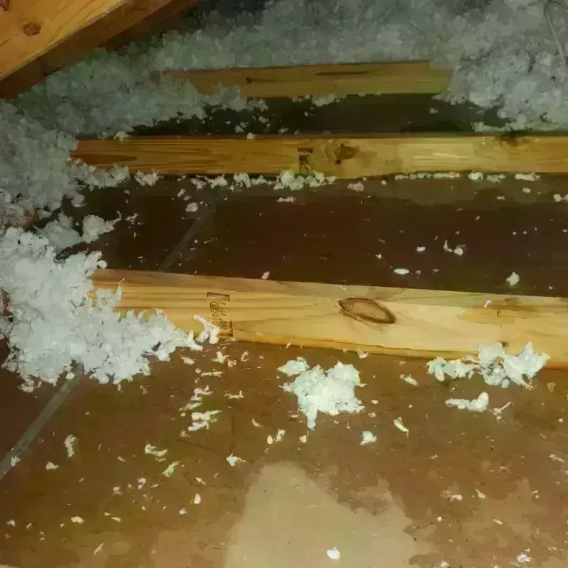 Attic Water Damage in Melcher-Dallas, IA