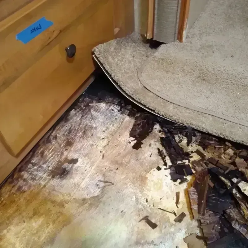 Wood Floor Water Damage in Melcher-Dallas, IA